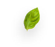 NutriDash - Pasti pronti a casa tua