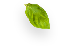 NutriDash - Pasti pronti a casa tua