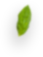NutriDash - Pasti pronti a casa tua