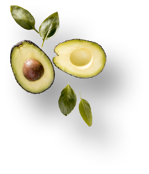 NutriDash - Pasti pronti a casa tua