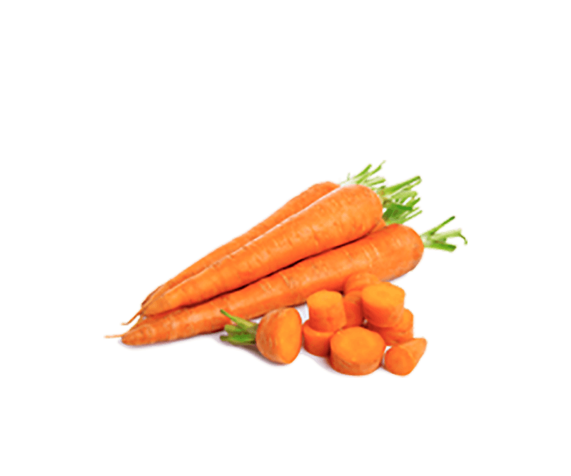 NutriDash - Pasti pronti a casa tua