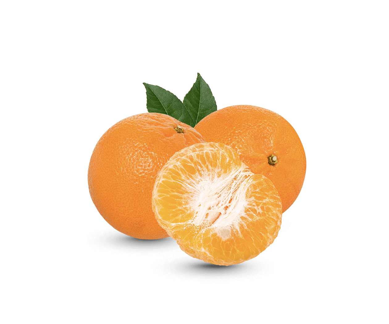 NutriDash - Pasti pronti a casa tua