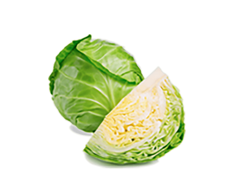 NutriDash - Pasti pronti a casa tua
