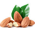 NutriDash - Pasti pronti a casa tua