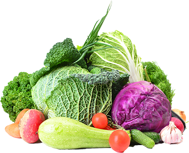 NutriDash - Pasti pronti a casa tua